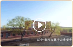 华体会平台