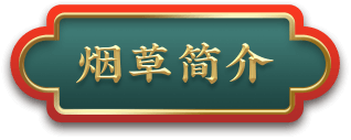 河南